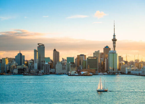 Grand Bargain New Zealand