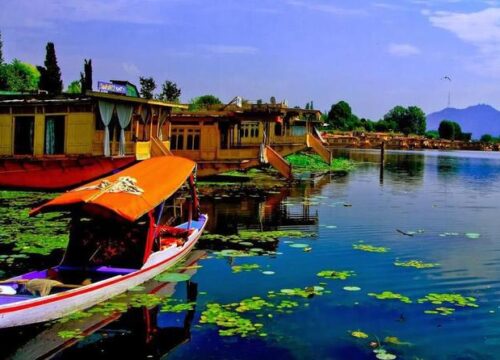 Kashmir - Special 4 (Srinagar - Gulmarg - Pahalgam - Sonmarg )