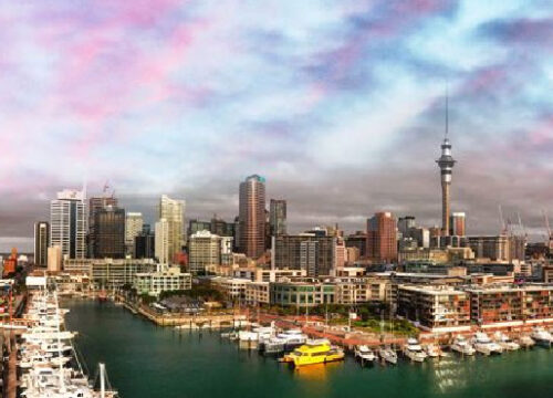 Magnificent New Zealand